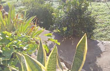 Df Alojamentos e Suites - Foto 34