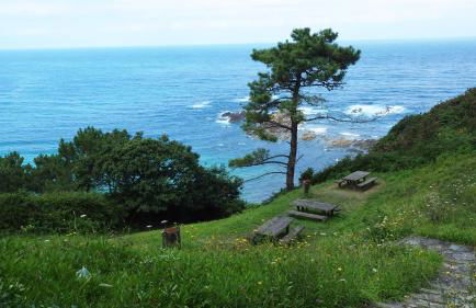 Apartamentos Rurales "La Torre" y "El Pielago" - Foto 66