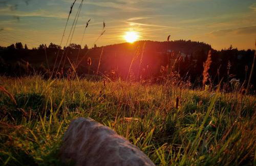 Zagroda Wataha 782 305 923 - Foto 39