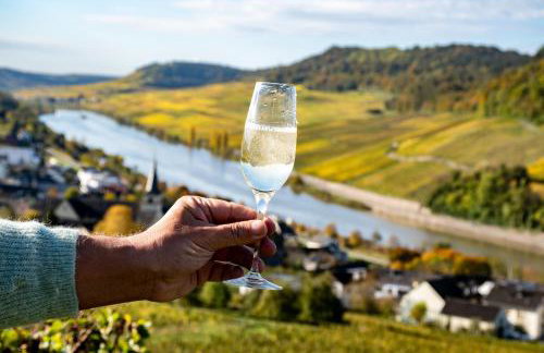 Ferienwohnungen zum Goldgräber - Stilvoll wohnen - Parkplatz - Perfekt für Moselurlaub - Foto 13