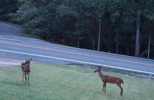 My Hideaways Serinity Hill - Foto 26