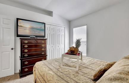 Valrico's Hidden Gem A Stunning 3-Bedroom Oasis Awaits! - Foto 32