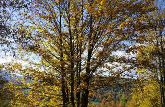 Uroczy Domek z Kominkiem - Foto 37