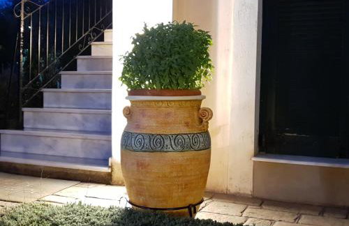 Acroploro - Photo 20