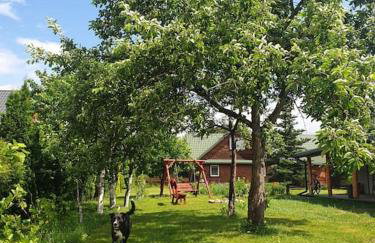 Siedlisko Wasilkowo. Odpoczynek na wsi - Foto 33