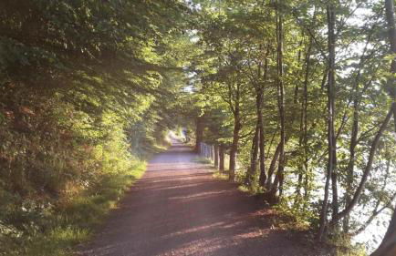 Fewo Am Edersee - Photo 17