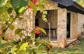 House Nono Bepo in small Istrian village - Foto 19