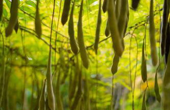 Villa I Giardini di Marzo - Foto 26