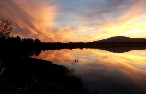 Pet-Friendly Cabin Rental near the Bigelow Preserve in Maine - Foto 17