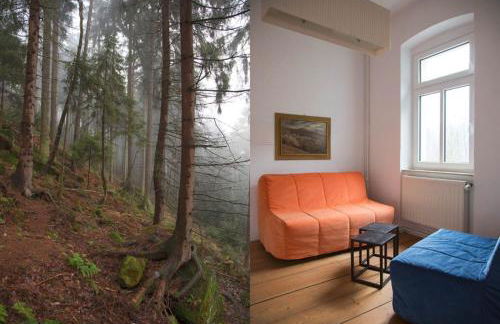 Burg Schöna - Suiten und Zimmer - Foto 12