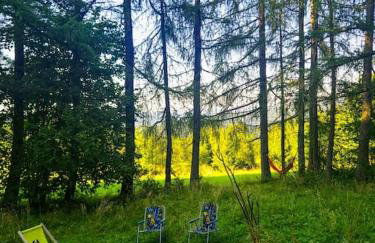 Grapa - Magiczna Leśna Chata - Foto 16