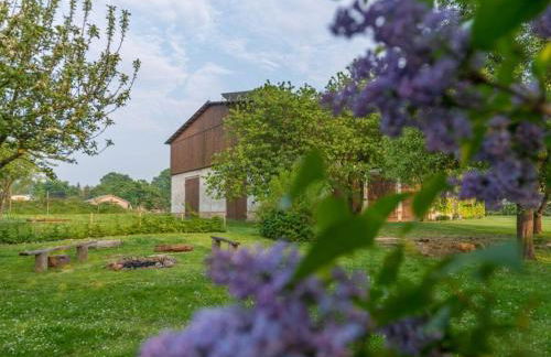 Tarnewitz in the Thorstorf estate barn - Foto 7