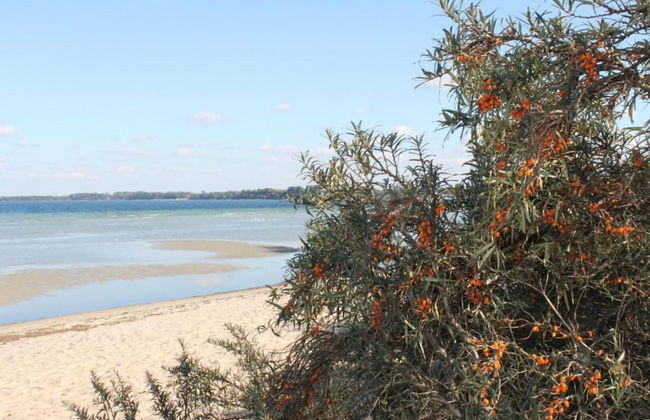 Moderne Ferienwohnung in Kluetz in Strandnahe - Foto 73
