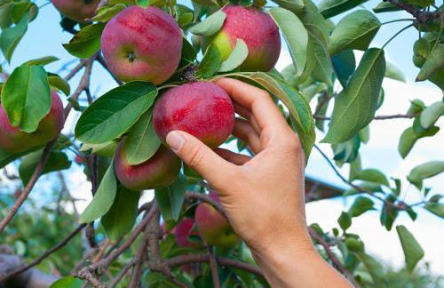 Hudson Valley Cottage Rental 3 bedrooms Monroe NY - Foto 34