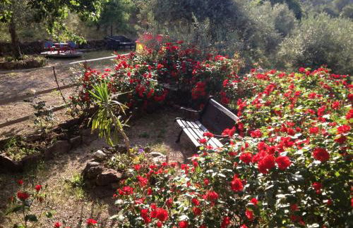 Agriturismo Al Poggetto - Foto 90