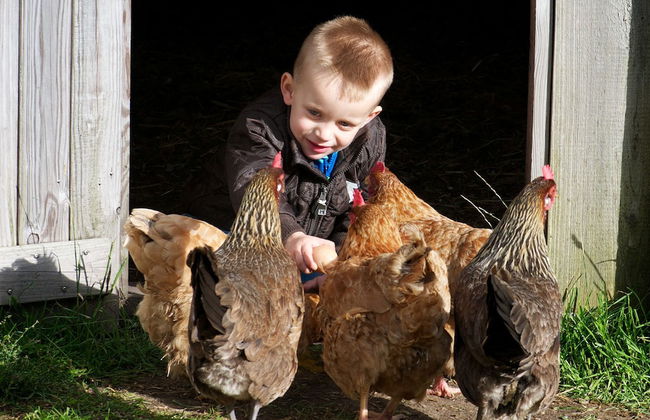 Nymarksminde Apartments & Farmpark - Foto 25