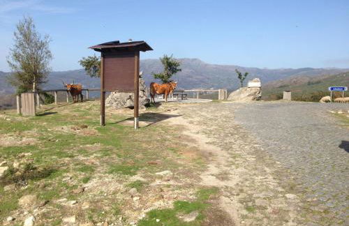 Cantinho Redondo Gerês - Foto 11