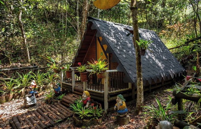 Ecoluxury glamping - Foto 65