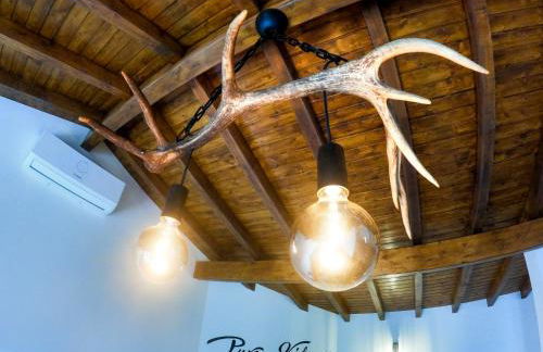 Pura Vida Matos House - Photo 5