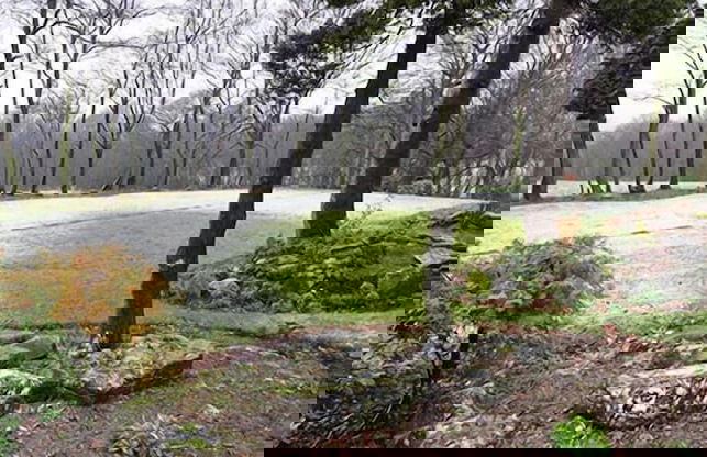 Gomersal Lodge Hotel - Foto 34