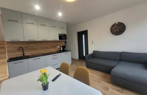 Parkcity SPA Domek z jacuzzi w górach - Photo 45