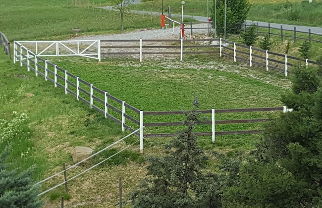 Allevamento B&B - Foto 31