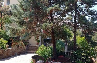 Argo Studios - Foto 7