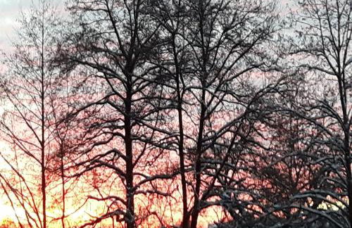 Sellerich Forest Hideaway - Foto 69