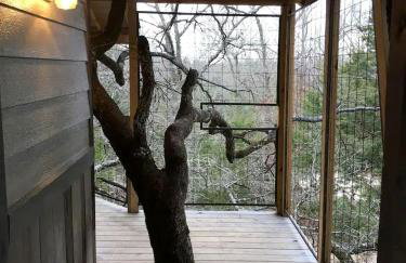 Luxury Tree House Rental in Lindale Ideal for Glamping in Texas - Foto 6