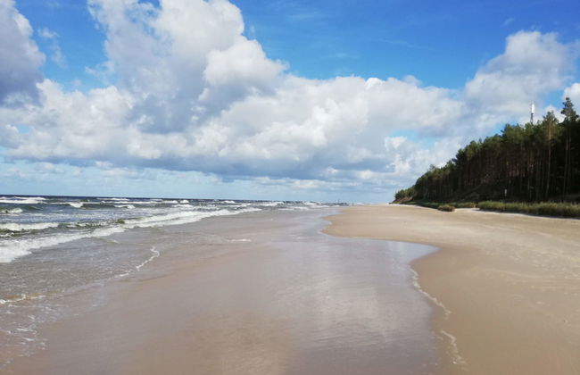 2 bedroom House in Choczewo with swimming pool and garden - Photo 5