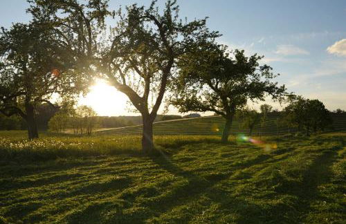 Ferienwohnung Hof Zürnen - Photo 10