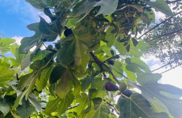 Casita Villa Serena Busot - Foto 16