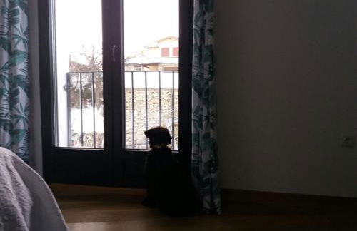 El Huertecito - Foto 12