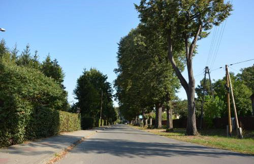 Agroturystyka Staroscin - Foto 32