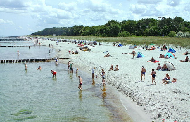 Ferienwohnung Villa Sonja in Zingst - Foto 12