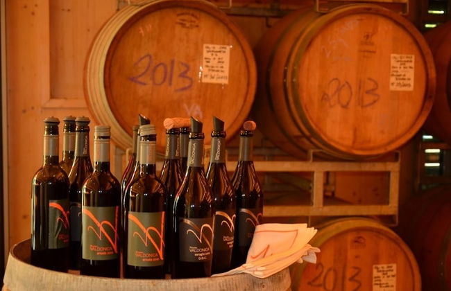 Valdonica Winery & Vineyard Residence - Foto 53