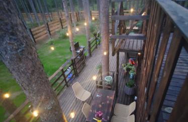 Domek lubiana180 SCANDI wśród drzew JACUZZI SAUNA KOMiNEK i TARAS na dachu jezioro Kaszuby Pieski tylko do 10kg za dodatkową opłatą - Foto 48