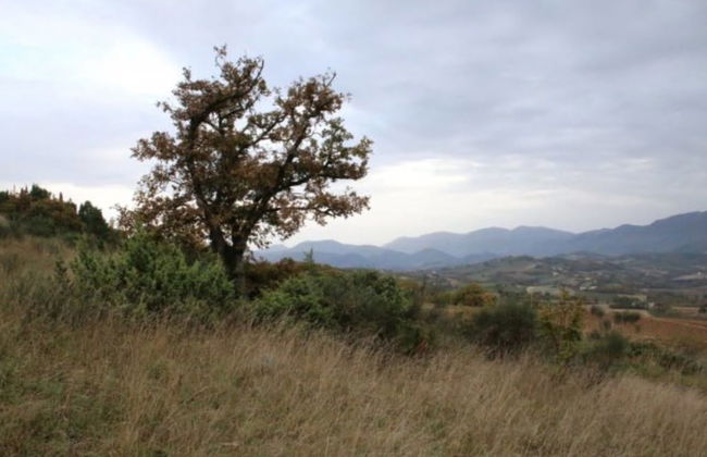 Agriturismo Valdifiori - Photo 27