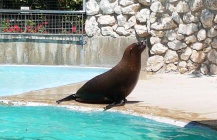 Villa Vittoria - Foto 21