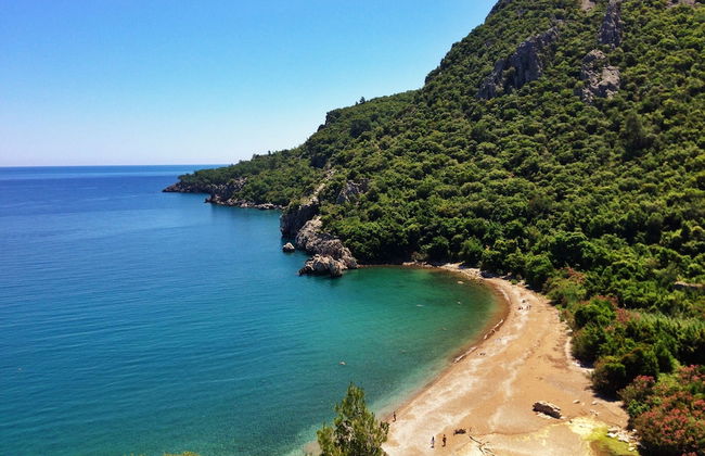 Kadir's Tree Houses - Photo 33