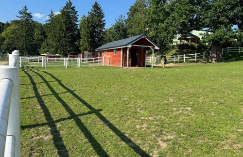 Agroturystyka Zielony Zakątek w Wiewiecku - Foto 54