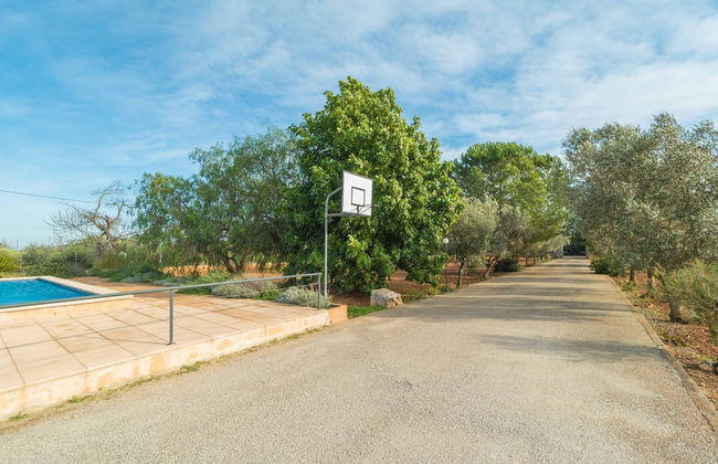 Ca n Canastro in Consell - Foto 31