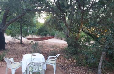 Quinta de São Pedro - Photo 43