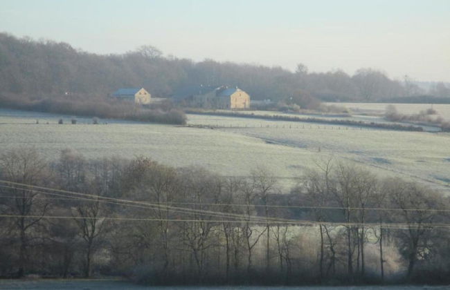 Family Villa Near Forest - Photo 18