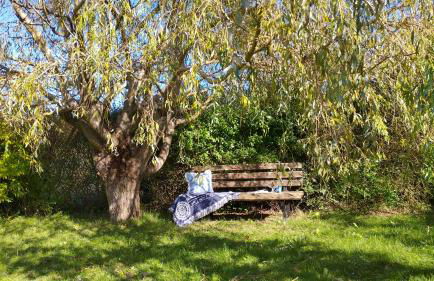 2 Ferienhäuser im Doppelpack für Naturliebhaber, strandnah, ruhig, mit großen Gärten - Foto 44