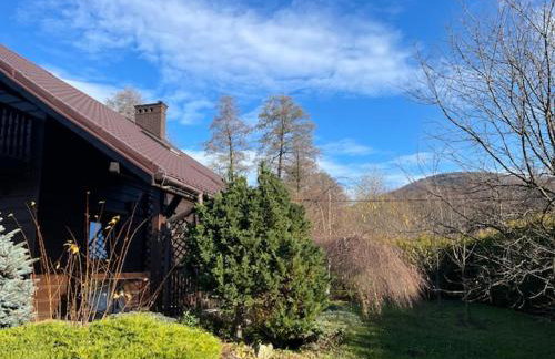 BESKIDIUM - uroczy dom Brenna - Foto 8