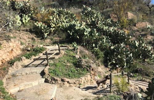 Casa Rural La Antigua - Foto 32