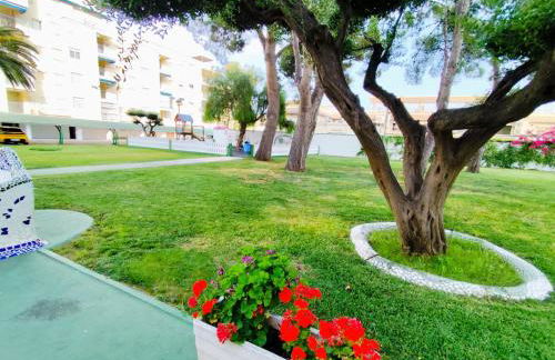 Milion Destiny Oromar Seis - Foto 29