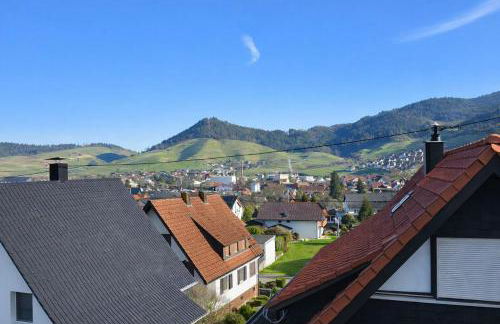 SK Ferienapartments Kappelrodeck - Photo 16