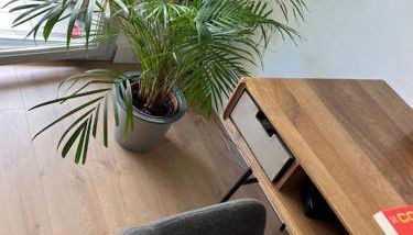 Le Petit Bruxelles au calme - Foto 4